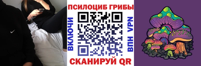 Псилоцибиновые грибы Cubensis  Купить где  Оса 