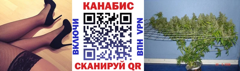 Купить закладки  Оса  МАРИХУАНА гибрид 